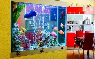 Comment installer un aquarium dans un mur ?