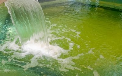Comment rattraper une eau verte de piscine avec de l’eau de Javel ?